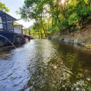 포레스트 캠핑장 이미지