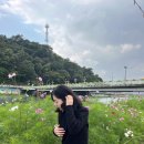 복코돼지 | 코수술 3개월차 후기 - 들창코, 복코 일명 돼지코