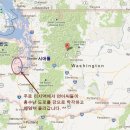 (주)연어 이미지