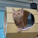 효진축산 | 2021년 12월 셋째주