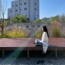 바우네슈퍼 | 나의 사적인 강릉 여행기(스카이베이호텔, 툇마루, 감자바우, 강릉닭강정, 영진돈, 영진해변)
