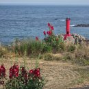 풀하우스펜션 | 포항 구룡포 풀하우스 펜션 방문 후기 ( 포시커 빵게 이벤트 당첨수령 )