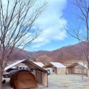 신기송어장횟집 | [공지] 괴산군] 청천면 여사왕리 5성급 캠핑장 편의시설 관리 호텔급 온수 수영장 괴산원더포레스트...