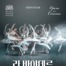 러브 스토리 인 오페라 이미지