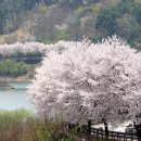 임실꽃화원 뉴시스