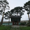 판관서유교 영세불망비 | 칠곡 팔거천-구수산 공원(1)