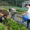 진해기술지원과(진해농업기술센터) 이미지