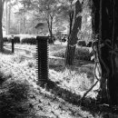 청구중학교 이미지