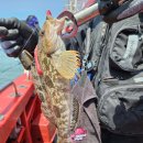 킹콩낚시 이미지