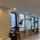 빈센트 헤어 이미지