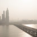 푸른숲요양병원 이미지