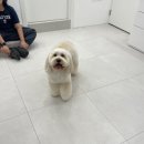 애니테티카 이미지