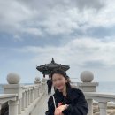 더엠브로시아 티스토리