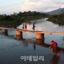 황정희