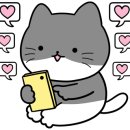 주안헤어 이미지