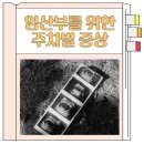 임신 주차별 증상 A to Z(1주부터 40주까지) 자세히 알기
