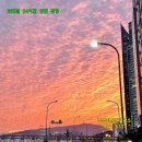 병영당구장 이미지