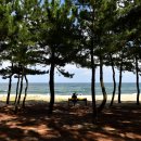 송정해변길 이미지