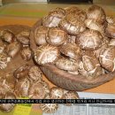 마륜 농장 이미지