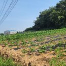 화성길공인중개사사무소 네이버블로그