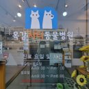 목감시티동물병원 | [우리동네 이모저모] 목감시티동물병원