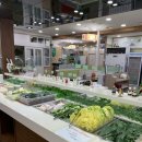 샤브향 연산점 이미지