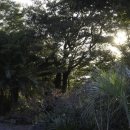 부영농장 이미지