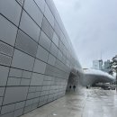 (주)효디자인 | 6월 전시추천 DDP 키크니 특별전 10% 할인 방법 관람 후기 총정리