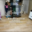 오금공인중개사사무소 이미지