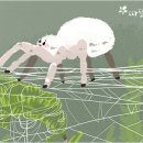벨벳 거미의 모성애 이미지