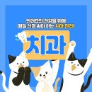 모란동물병원 이미지