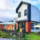 매일더탐나 이미지