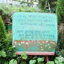 원주허브팜식물박물관 이미지