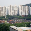 생태다리 이미지