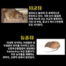 한솔방역 - 화순군 | 한솔방역