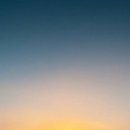 팡팡과일 이미지