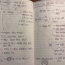 한나아렌트의 인간의 조건 읽기 | [엄선경 쌤 추천]한나 아렌트의 예루살렘의 아이히만 읽기. 세창출판사