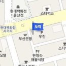 전용진정형외과의원 티스토리