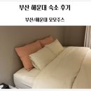 호텔모모주스 | 부산 해운대 숙소 모모주스호텔 내돈내산후기