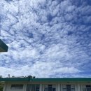 승민당구장 | 괌 어학연수 5,6일차 (UOG)