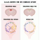 성화상회 - 중구 큰장로26길 32 | 성화상회