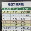 송하낙지 이미지