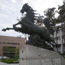 한국체육대학교(필승관앞) 티스토리