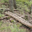 수재화장실 이미지