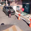 네코오뎅 이미지