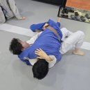 라텔주짓수 - 김포시 김포한강9로76번길 63 | 40대에 시작한 주짓수, 정말 가능할까요? 안산 주짓수 실제 후기