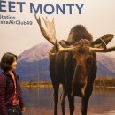 중년에 떠나는 첫번째 배낭여행 이미지