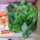 류이용소 Daum카페