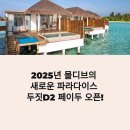 2025 몰디브 여행 가이드: 두짓D2 워터빌라, 스노클링, 돌핀크루즈 완벽정리