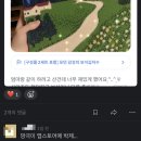11의 3: p처럼 살았던 j의 일주일